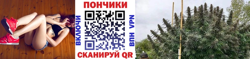Бошки марихуана тримм  Майкоп 
